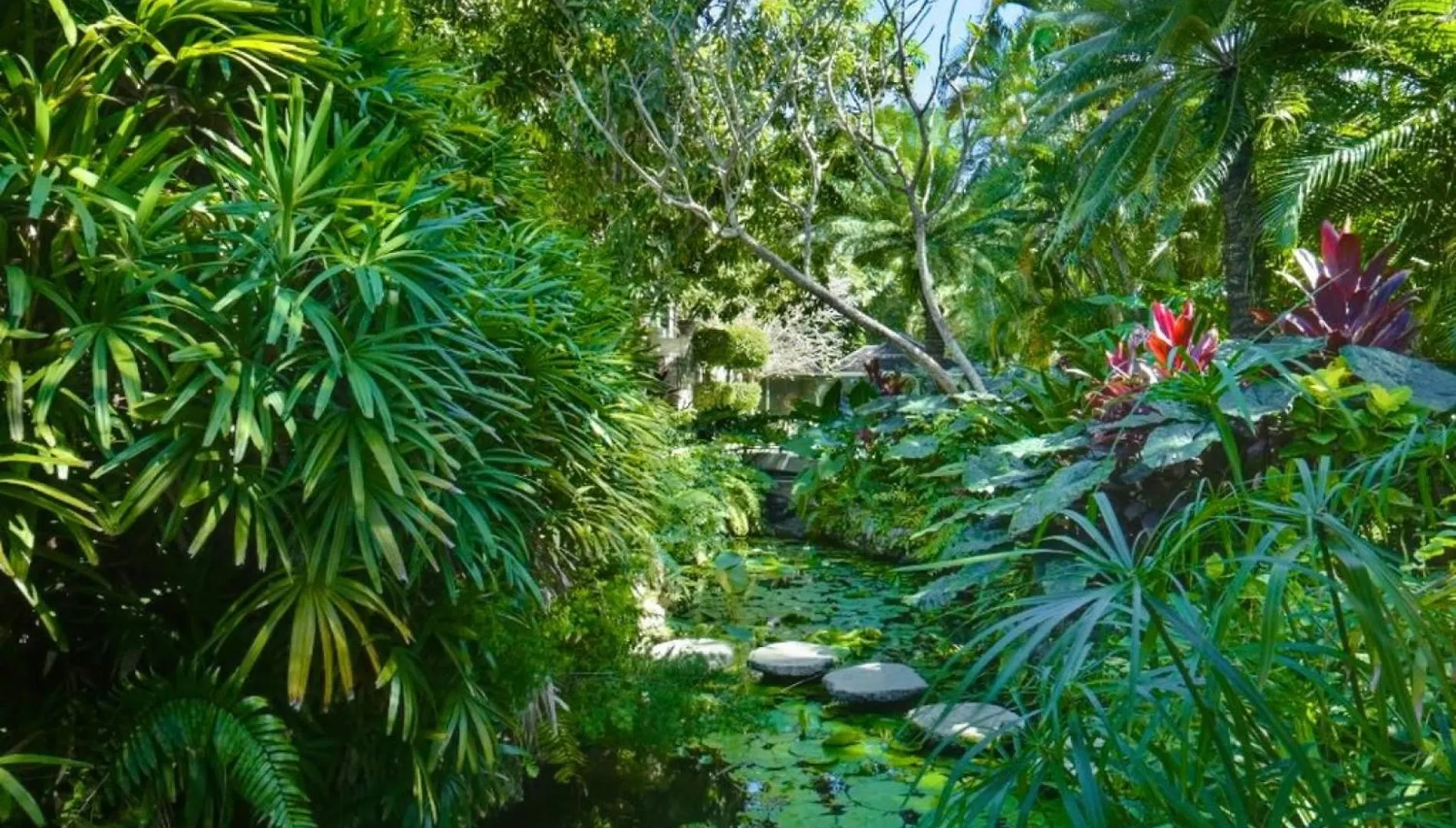 Exquisite Villa Which In Crescent-Shaped Shoreline Saint James